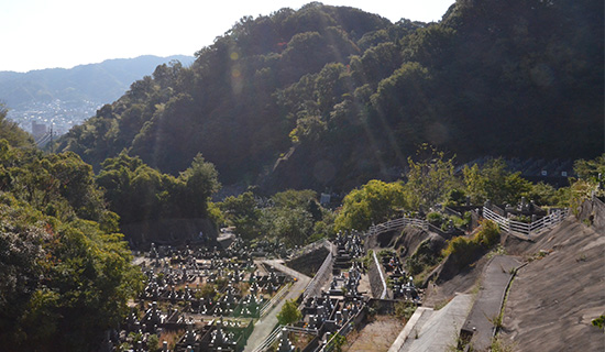 墓地測定、地盤調査